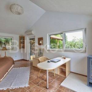 Brač, Splitska 2 kuće, bazen, okućnica 1000 m2, 150m od mora 