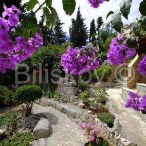 Brač, Splitska 2 kuće, bazen, okućnica 1000 m2, 150m od mora 