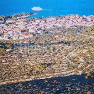 Brač, Supetar maslinik 14.050 m2, pogodan za OPG