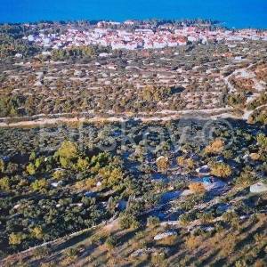 Brač, Supetar maslinik 14.050 m2, pogodan za OPG