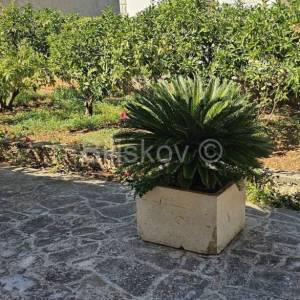 Brač, Supetar, prodaja kuća, centar, 100m od plaže