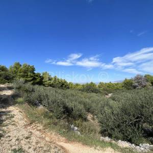 Brač, Supetar, zemljište 2989 m2 od čega 1700m2 građevnog