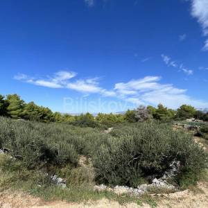 Brač, Supetar, zemljište 2989 m2 od čega 1700m2 građevnog