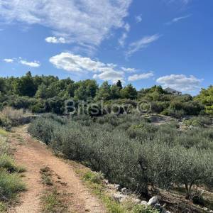 Brač, Supetar, zemljište 2989 m2 od čega 1700m2 građevnog