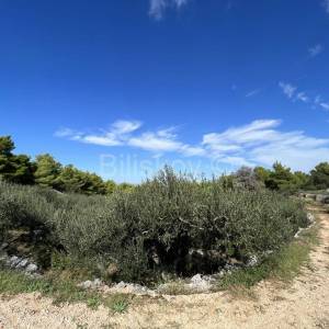 Brač, Supetar, zemljište 2989 m2 od čega 1700m2 građevnog