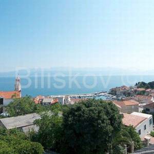 Brač, Sutivan, prodaja kuća, tri apartmana, bazen, 150 m od mora