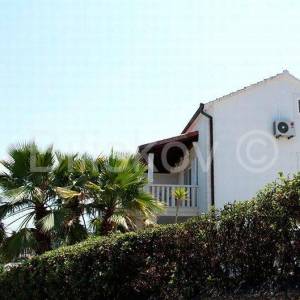 Brač, Sutivan, prodaja kuća, tri apartmana, bazen, 150 m od mora