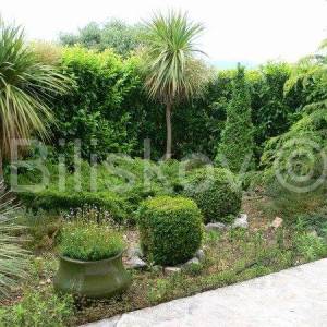 Brač, Sutivan, prodaja kuća, tri apartmana, bazen, 150 m od mora