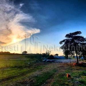 BRIŠEVO,ZADAR-SEOSKO IMANJE-PRODAJA!