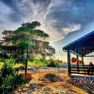 BRIŠEVO,ZADAR-SEOSKO IMANJE-PRODAJA!