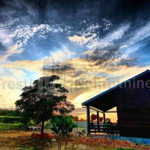 BRIŠEVO,ZADAR-SEOSKO IMANJE-PRODAJA!