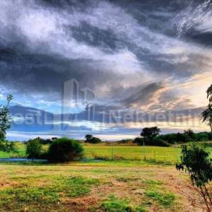 BRIŠEVO,ZADAR-SEOSKO IMANJE-PRODAJA!