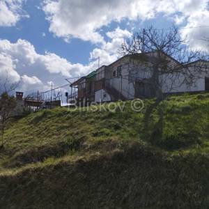 Buzet, prodaja, kuća na brežuljku, parcela 2400m2