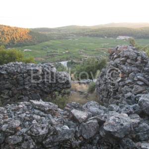 Čara, poljoprivredno