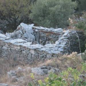 Čara, poljoprivredno