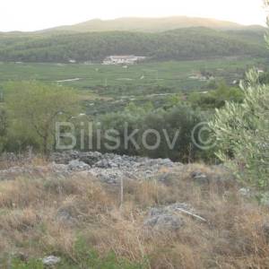 Čara, poljoprivredno