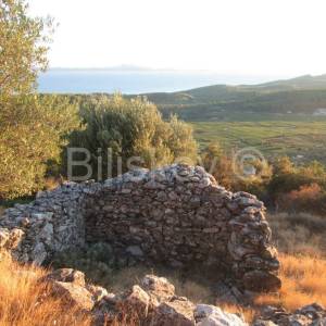 Čara, poljoprivredno