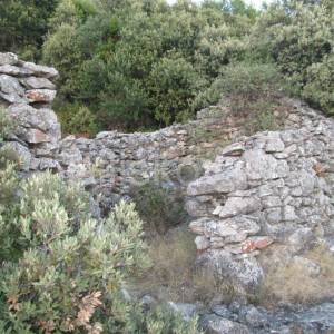 Čara, poljoprivredno