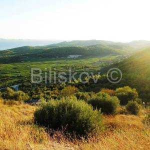 Čara, poljoprivredno