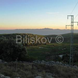 Čara, poljoprivredno