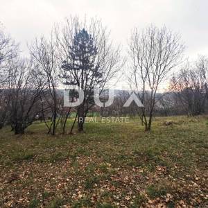 ČAVLE (okolica) - Samostojeća kuća sa 3250 m2 građevinskog zemljišta!