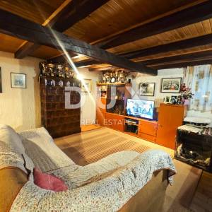 ČAVLE (okolica) - Samostojeća kuća sa 3250 m2 građevinskog zemljišta!