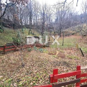 ČAVLE (okolica) - Samostojeća kuća sa 3250 m2 građevinskog zemljišta!