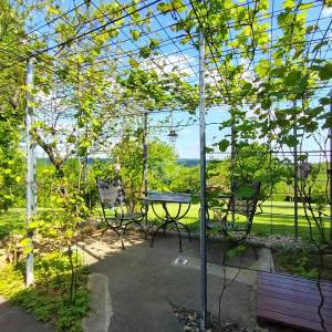 Čazma, Vrtlinska, kuća 196 m2 + apartman 17 m2, zemljište 4600 m2