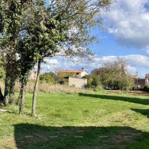 COKUNI, građevinski teren sa riješenim pristupnim putem i građevinskom dozvolom.