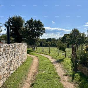 COKUNI, građevinski teren sa riješenim pristupnim putem i građevinskom dozvolom.