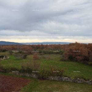 COKUNI, građevinski teren sa riješenim pristupnim putem i građevinskom dozvolom.