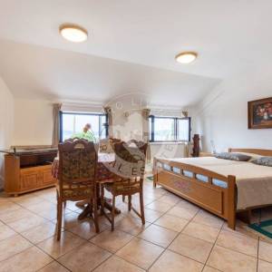 Crikvenica, Kuća 498 m2, tri Stana, Apartman, dva poslovna prostora