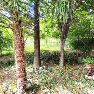 Crikveničko zaleđe, Grižane, samostojeća kuća s garažom i okućnicom