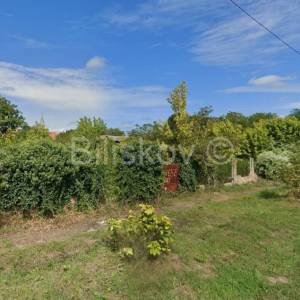 Dalj, atraktivno građevinsko zemljište na prodaju