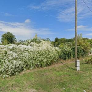 Dalj, atraktivno građevinsko zemljište na prodaju