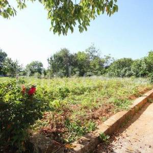 Dicmo, samostojeća obiteljska kuća