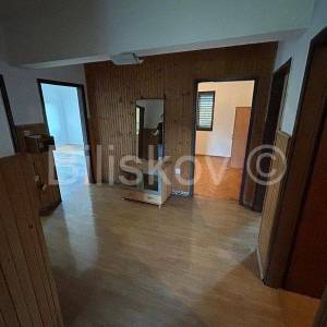 Dicmo, samostojeća obiteljska kuća