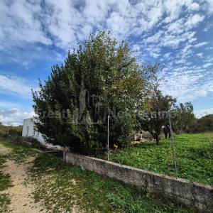 DIKLO-CERODOLE-KUĆA 123m2, na parceli 994m2