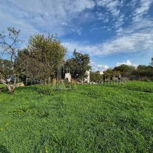 DIKLO-CERODOLE-KUĆA 123m2, na parceli 994m2