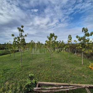 DIKLO-CERODOLE-KUĆA 123m2, na parceli 994m2