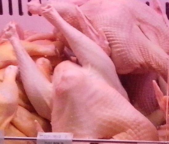 Domaća svježa Zagorska purica 3 - 6 kg dostava na kućnu adresu kupca