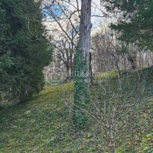 Donja Šemnica/Kuća s pomoćnim objektom/Zemljište