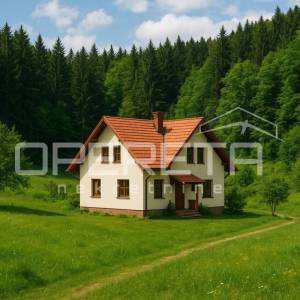 Družilovec, Veliko Trgovišće, Veliko Trgovišće, 13.654,00 m2, 195.000,00 EUR