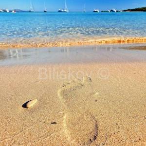 Dugi otok, Soline, prodaja zemljište 5000m2, 90m od mora