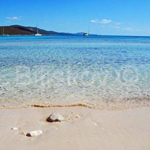 Dugi otok, Soline, prodaja zemljište 5000m2, 90m od mora