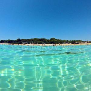 Dugi otok, Soline, prodaja zemljište 5000m2, 90m od mora