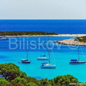 Dugi otok, Soline, prodaja zemljište 5000m2, 90m od mora