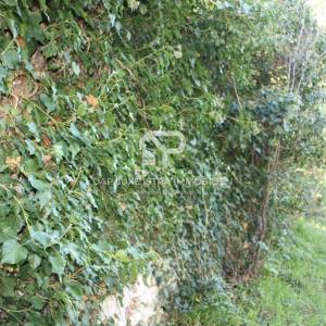 Ekskluzivno Pula Stoja Građevinsko zemljište 100m od mora