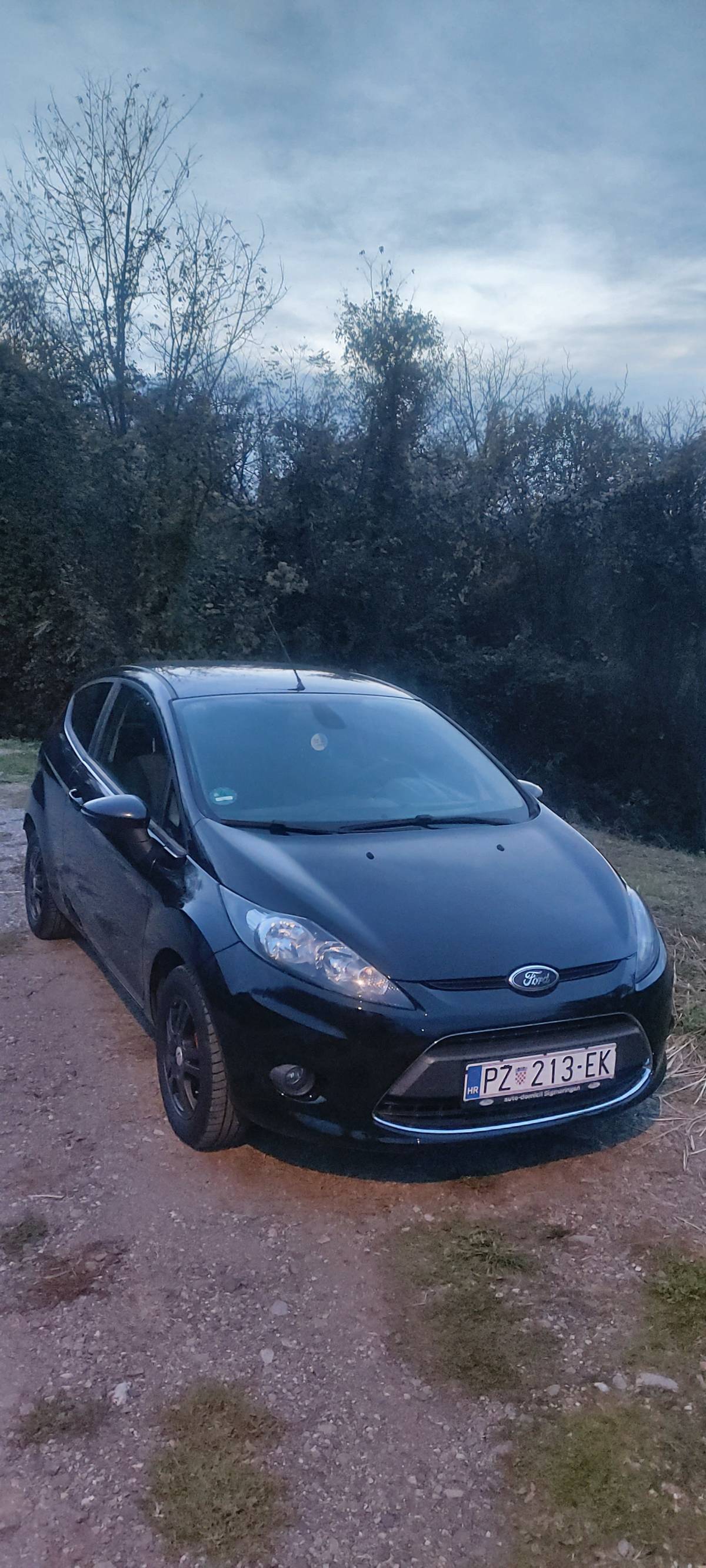 Ford fiesta 1.6 tdci 2010