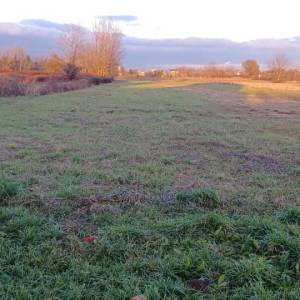 Gaj, Lučko, 5.795,00 m2, 460.000,00 EUR